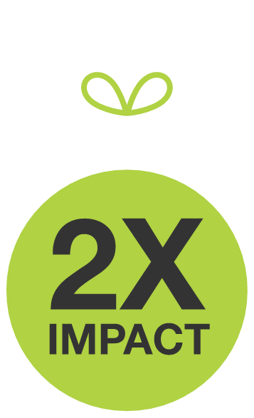 2X Impact